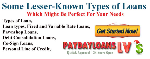 some-lesser-known-types-of-loans-paydaylv