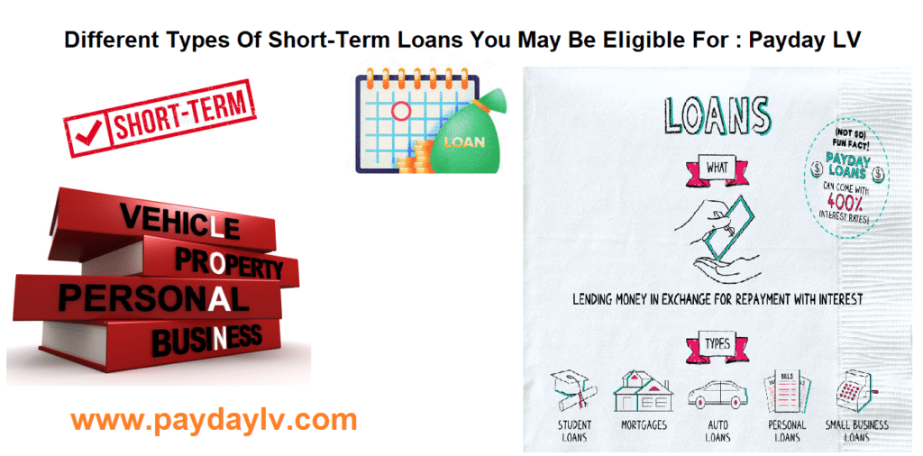 Types of short term loans Payday LV